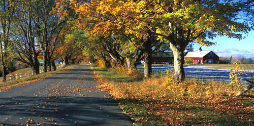 Good Things Are Brewing Along Vermont’s Back Roads