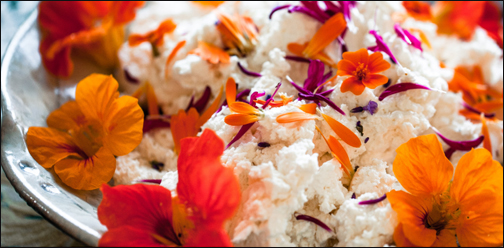 Vermont Cheesemakers Festival 2019