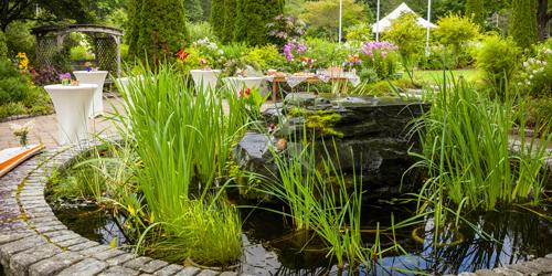 Vermont Gardens