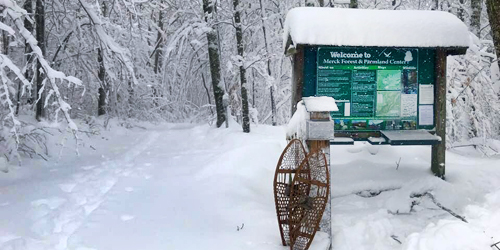 Merck Forest Snaps in Winter