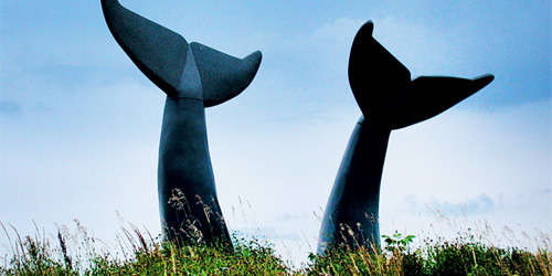 Whales Tails Walking Path