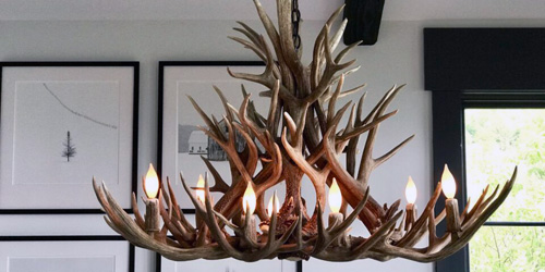Mad River Antler – How Wild Does That Sound?