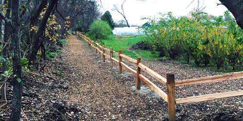 Intervale Center Trails