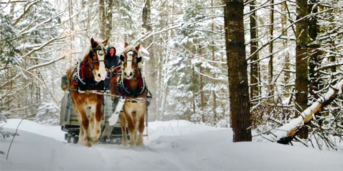 Feel the Hum of Sleigh Runners