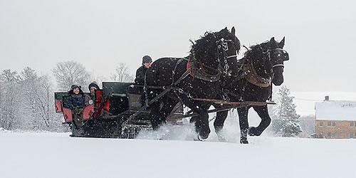Horse-Drawn Sleigh Rides