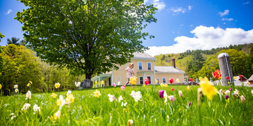 Travel the Back Roads With a Local Expert