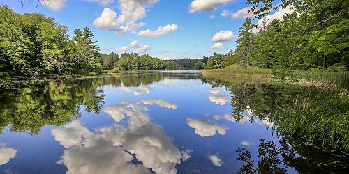 Lake Shaftsbury State Park