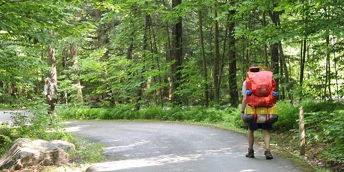 Gifford Woods State Park
