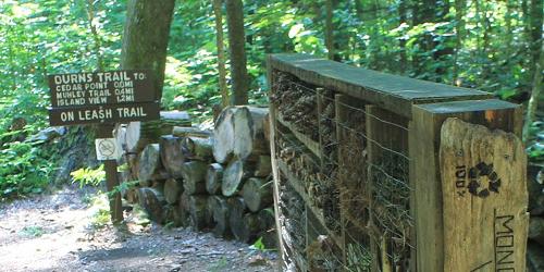 Niquette Bay State Park Trails