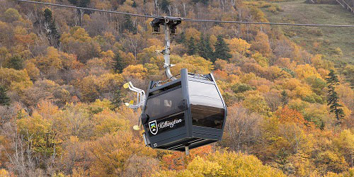 Ski Areas