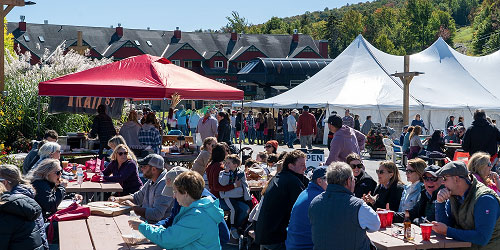 Vermont Wine & Harvest Festival 2024