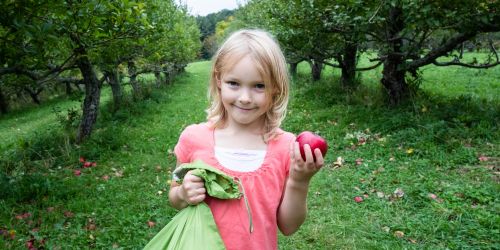 Pick Your Own Farms